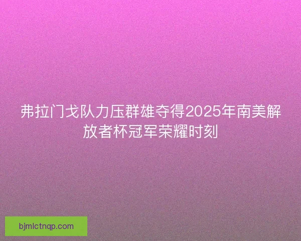 弗拉门戈队力压群雄夺得2025年南美解放者杯冠军荣耀时刻 弗拉门戈队力压群雄夺得2025年南美解放者杯冠军荣耀时刻
