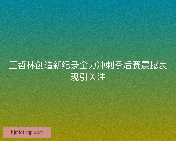 王哲林创造新纪录全力冲刺季后赛震撼表现引关注 王哲林创造新纪录全力冲刺季后赛震撼表现引关注